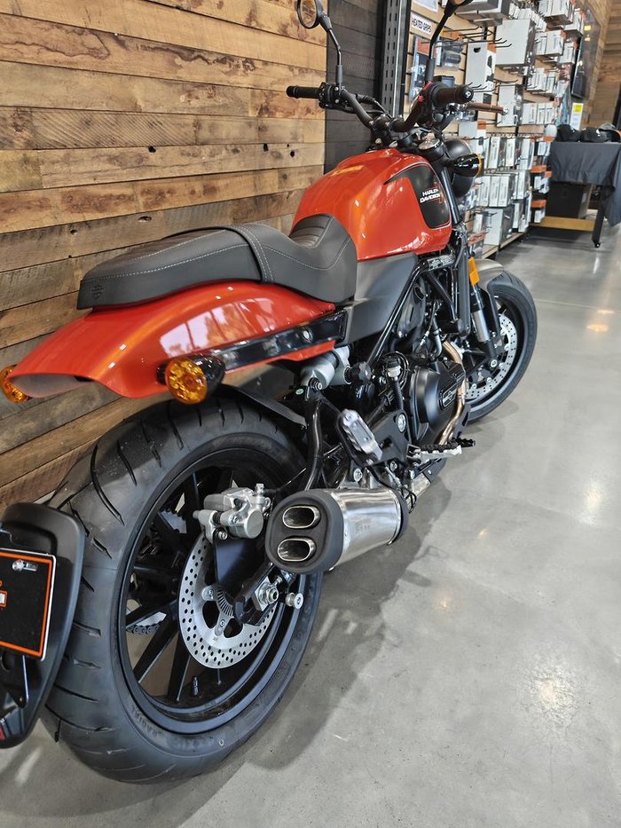 2024 Harley-Davidson X 500 X Orange