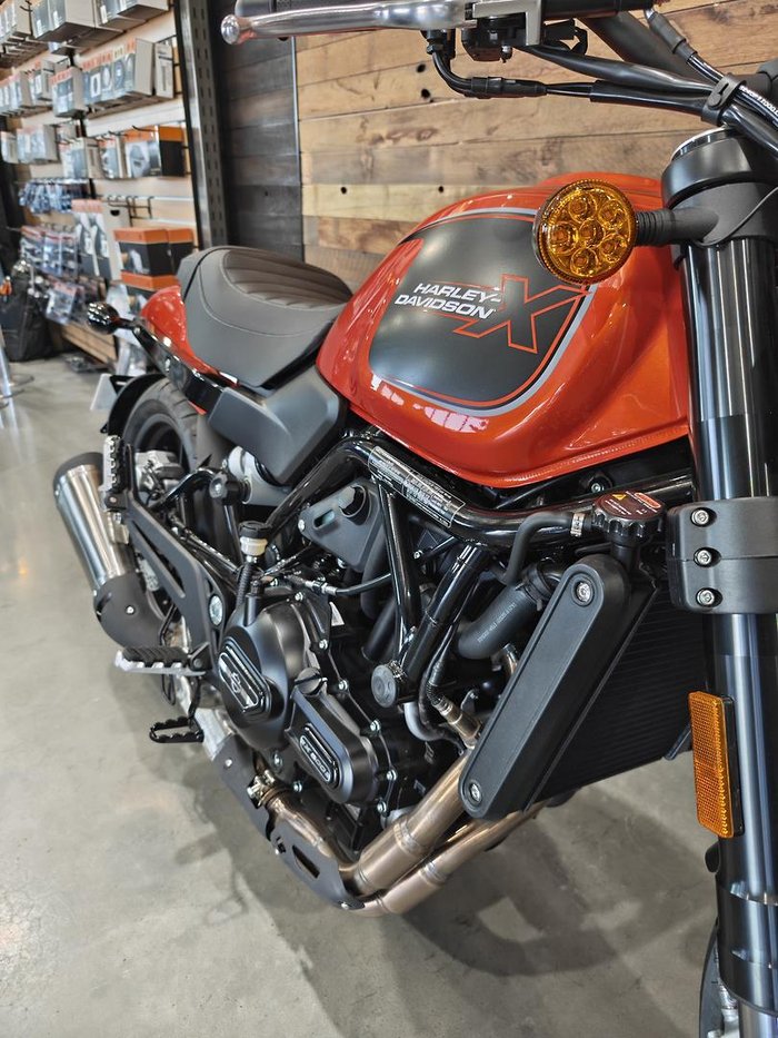 2024 Harley-Davidson X 500 X Orange