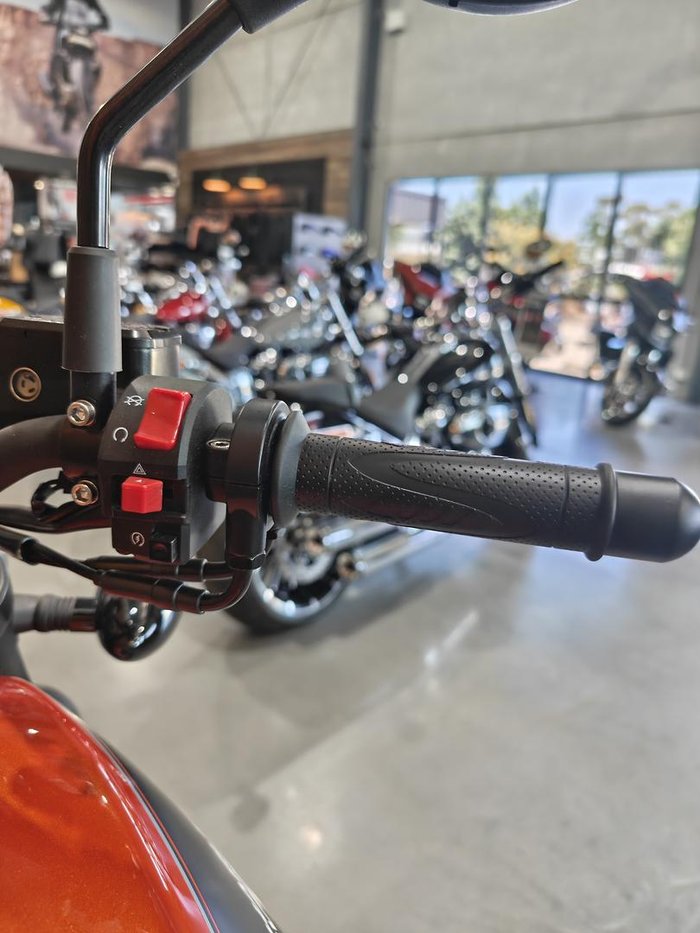 2024 Harley-Davidson X 500 X Orange