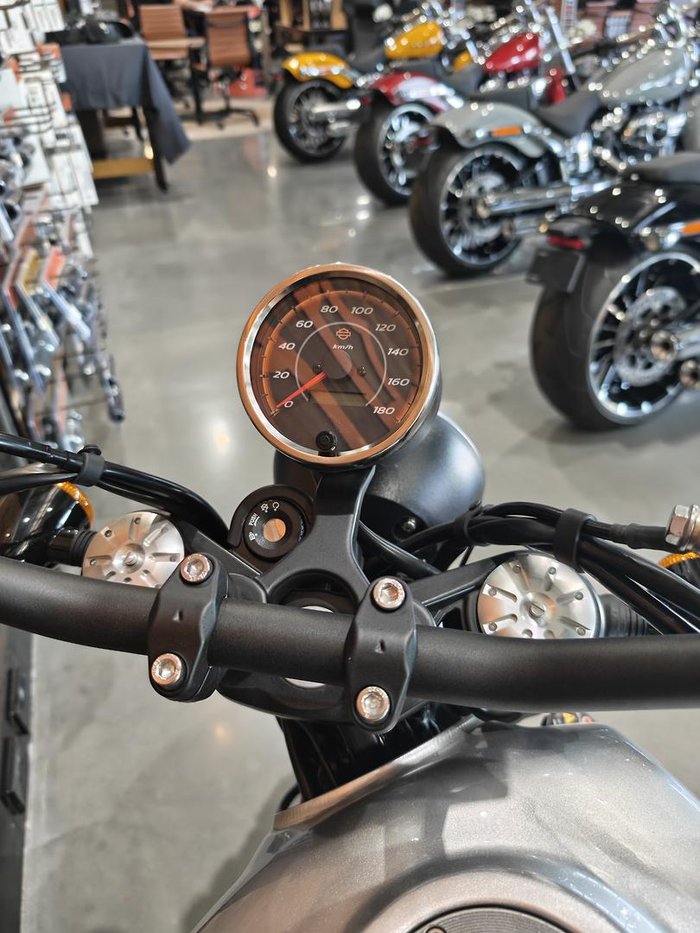 2024 Harley-Davidson X 500 X Silver
