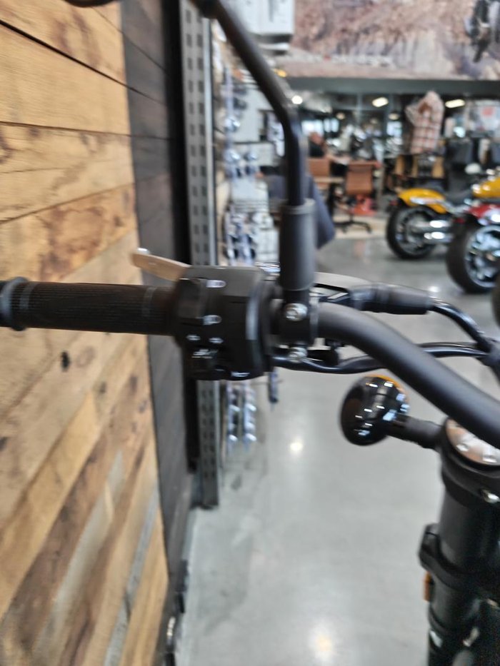 2024 Harley-Davidson X 500 X Silver