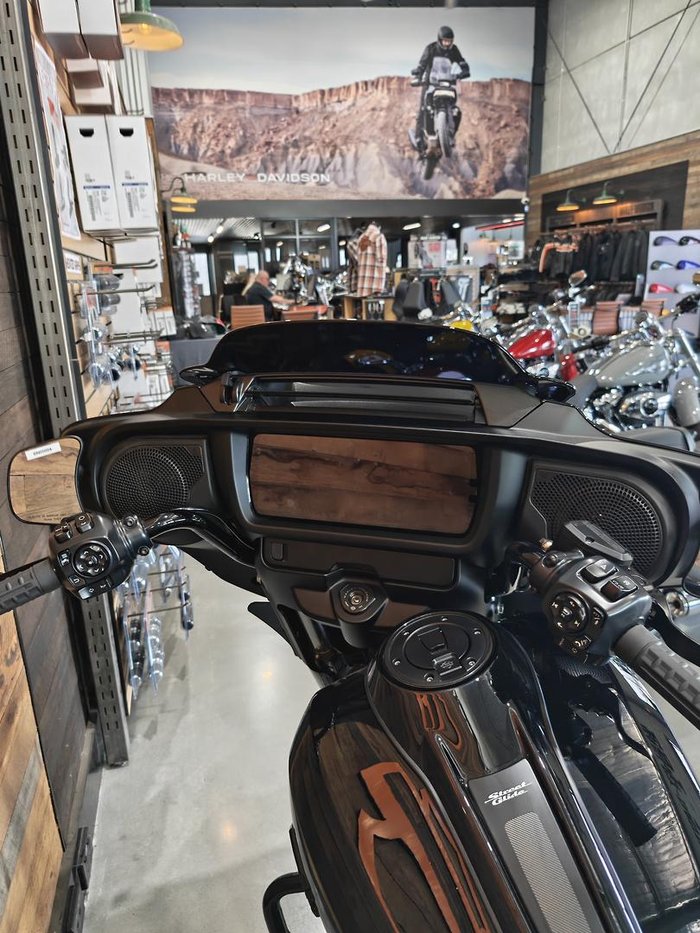 2025 Harley-Davidson Street Glide 117 (FLHX) Touring