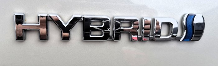 2021 Toyota RAV4 Cruiser