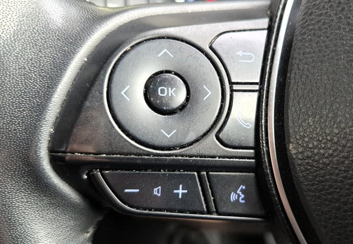 2021 Toyota RAV4 Cruiser