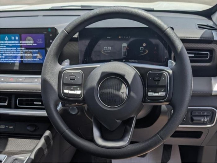 2025 GWM CANNON PREMIUM (4x2)