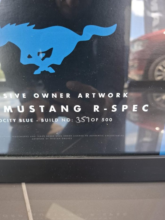 2020 Ford Mustang R-SPEC