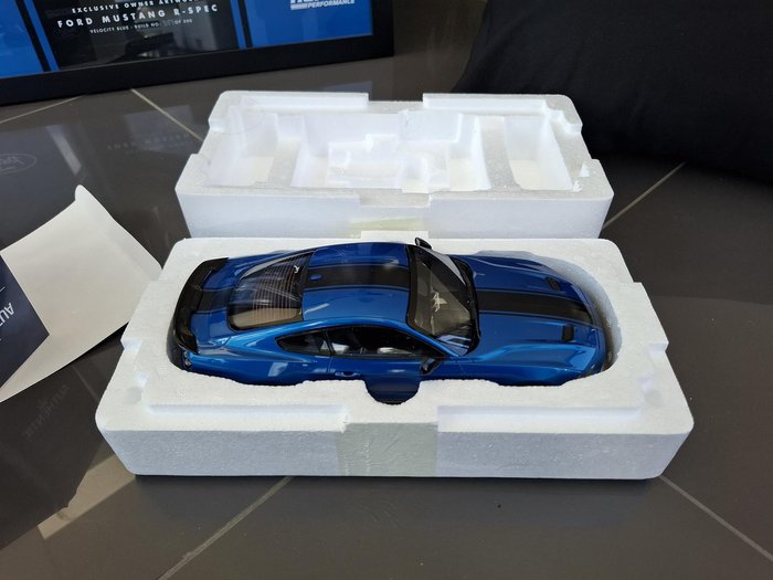 2020 Ford Mustang R-SPEC