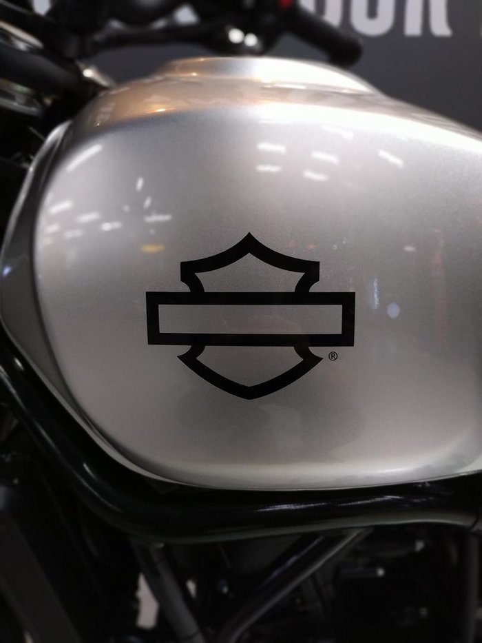 2024 Harley-Davidson X 500 X Silver