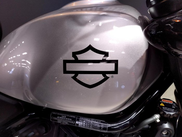 2024 Harley-Davidson X 500 X Silver