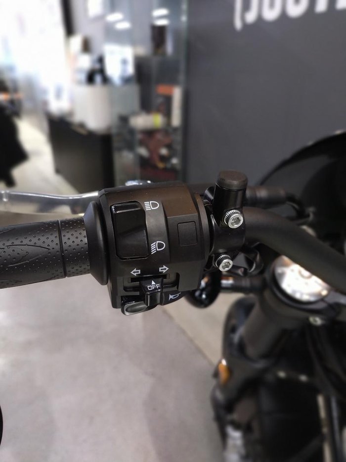 2024 Harley-Davidson X 500 X Silver