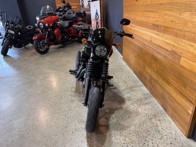 2020 Harley-davidson XG500 STREET 500 Black