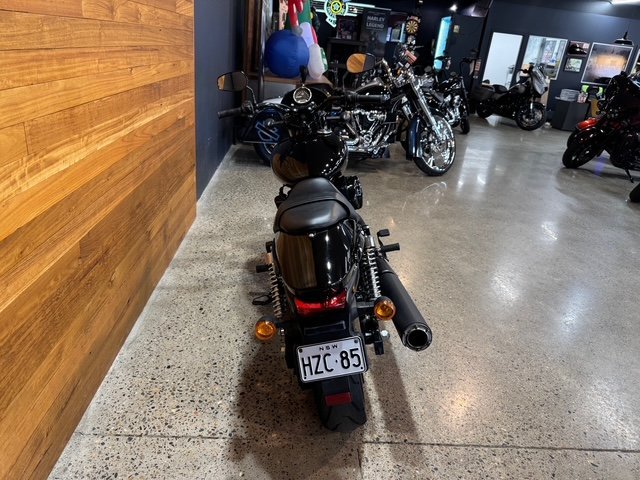 2020 Harley-davidson XG500 STREET 500 Black