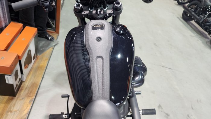 2024 HARLEY-DAVIDSON FXLRS LOW RIDER S (117)