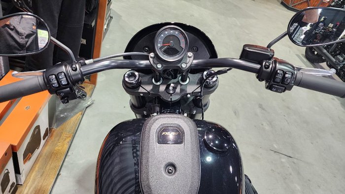 2024 HARLEY-DAVIDSON FXLRS LOW RIDER S (117)