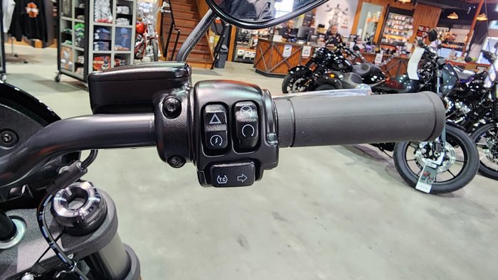 2024 HARLEY-DAVIDSON FXLRS LOW RIDER S (117)