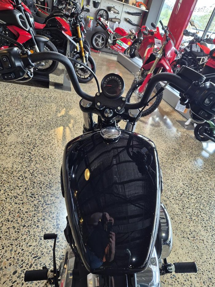 2025 Harley-Davidson Street Bob 117 (FXBB)