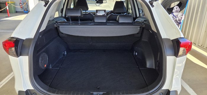 2020 Toyota RAV4 Cruiser