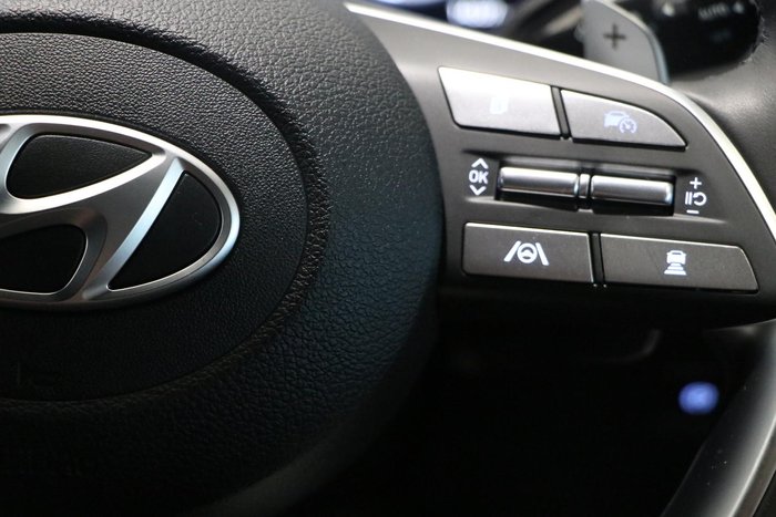 2024 Hyundai Palisade Calligraphy Black Ink