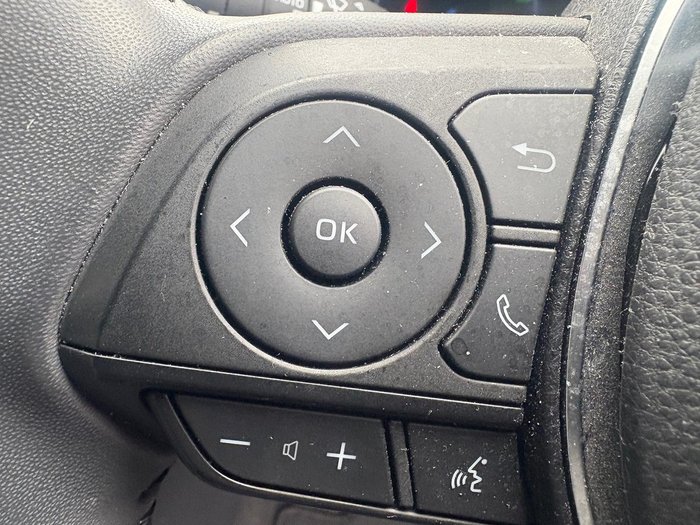 2021 Toyota RAV4 Cruiser