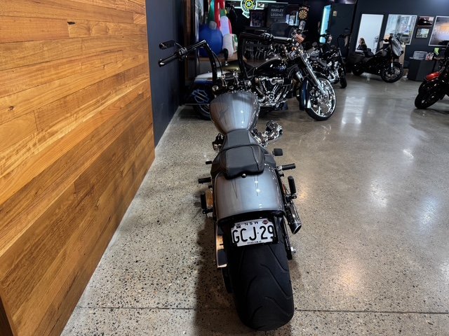 2021 Harley-davidson FXBRS BREAKOUT (114) Grey