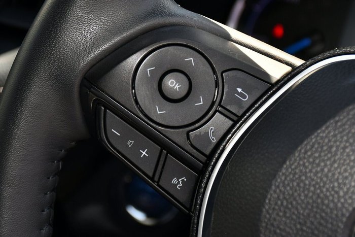 2020 Toyota RAV4 Cruiser