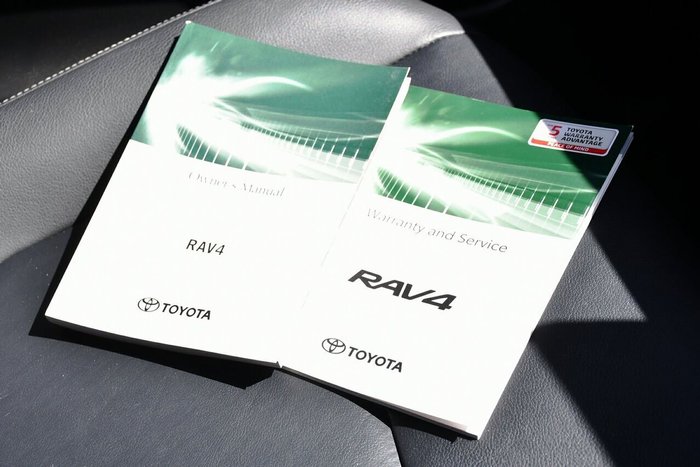 2020 Toyota RAV4 Cruiser