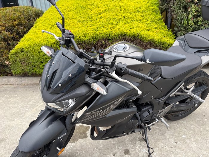 2015 Kawasaki Z300 ABS Grey