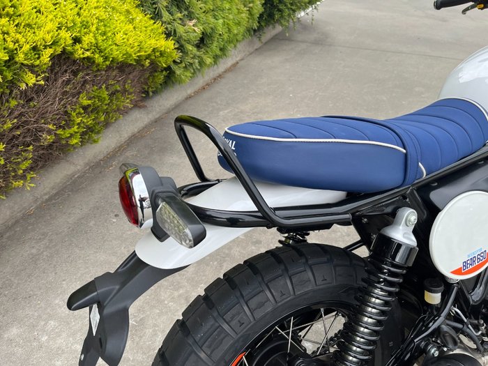 2025 Royal Enfield 2025 650CC INTERCEPTOR BEAR 650 Road White