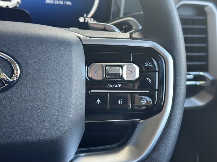 2025 LDV Terron 9 Evolve