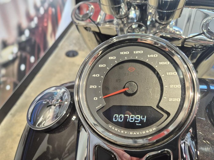 2021 Harley-Davidson Fat Boy 114 (FLFBS) Softail Grey