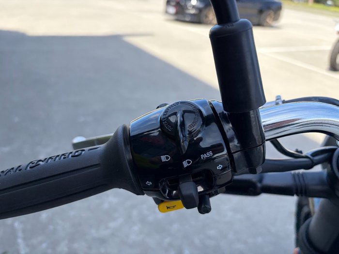 2026 Royal Enfield BEAR 650