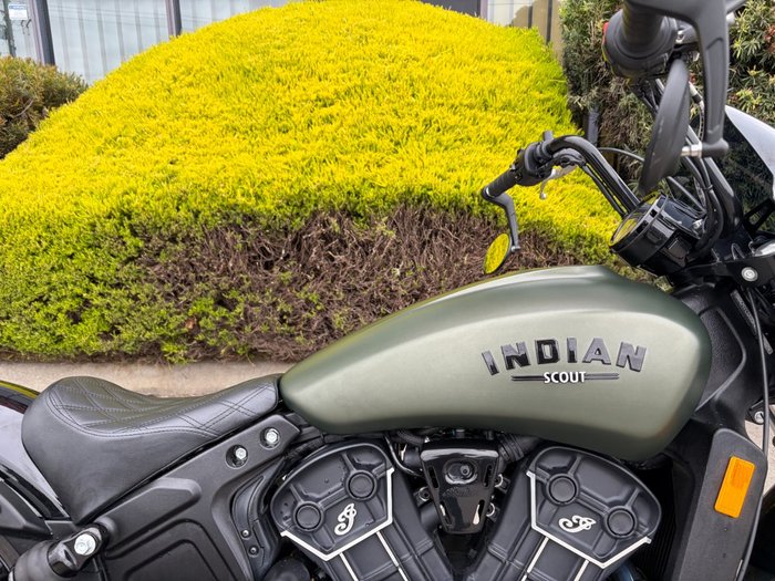 2023 Indian SCOUT ROGUE Green