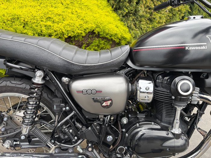 2019 Kawasaki W800 STREET (EJ800) Black