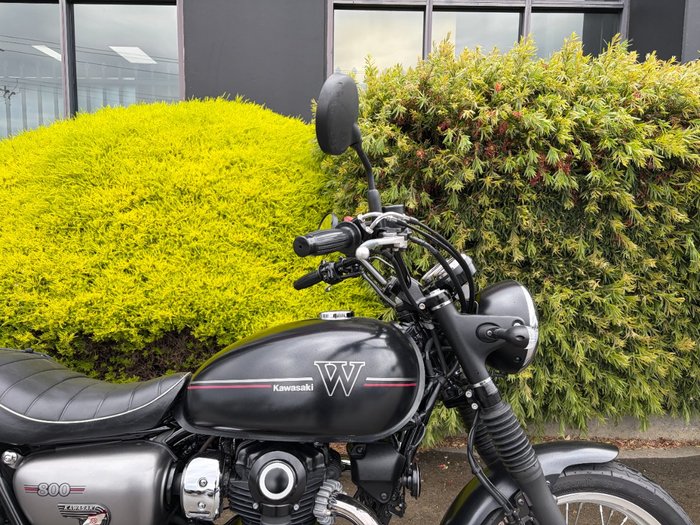 2019 Kawasaki W800 STREET (EJ800) Black