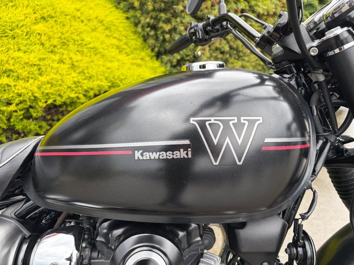2019 Kawasaki W800 STREET (EJ800) Black