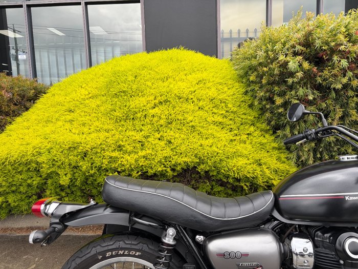 2019 Kawasaki W800 STREET (EJ800) Black