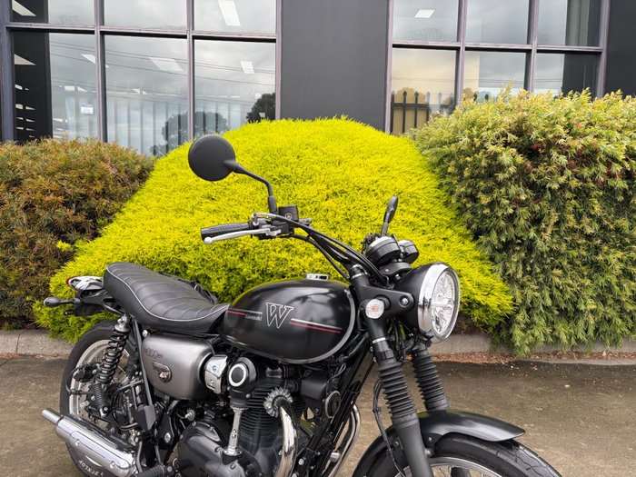 2019 Kawasaki W800 STREET (EJ800) Black