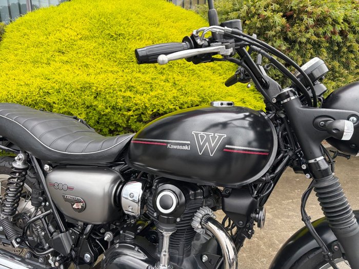 2019 Kawasaki W800 STREET (EJ800) Black