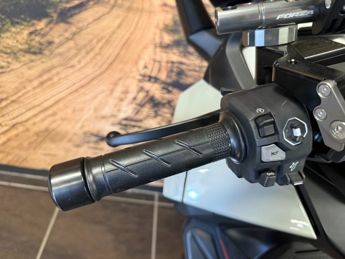 2025 Honda FORZA 350 (NSS350A) Grey