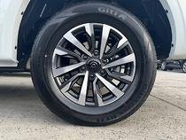 2025 GWM Cannon Premium