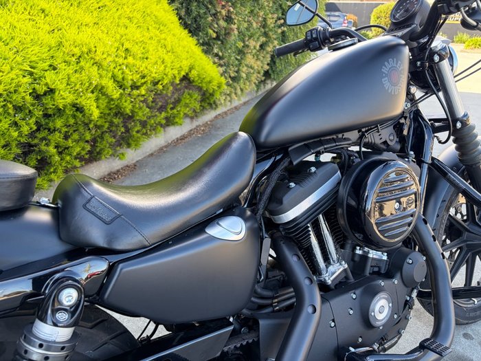 2019 HARLEY-DAVIDSON XL883N IRON 883 Black