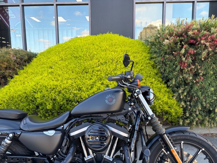 2019 HARLEY-DAVIDSON XL883N IRON 883 Black