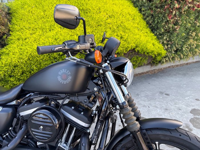 2019 HARLEY-DAVIDSON XL883N IRON 883 Black