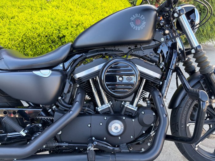 2019 HARLEY-DAVIDSON XL883N IRON 883 Black