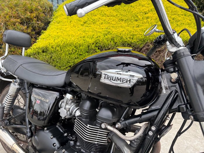 2008 Triumph BONNEVILLE