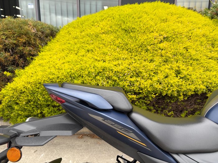 2024 Suzuki GIXXER Hunter Green