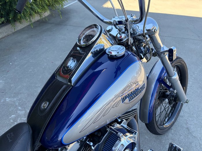 HARLEY-DAVIDSON 2008 HARLEY DAVIDSON 1584CC SOFTAIL CUSTOM Hunter Green