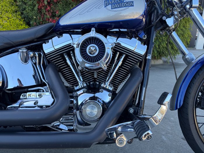 HARLEY-DAVIDSON 2008 HARLEY DAVIDSON 1584CC SOFTAIL CUSTOM Hunter Green