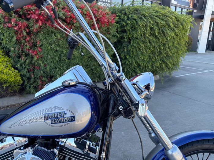 HARLEY-DAVIDSON 2008 HARLEY DAVIDSON 1584CC SOFTAIL CUSTOM Hunter Green