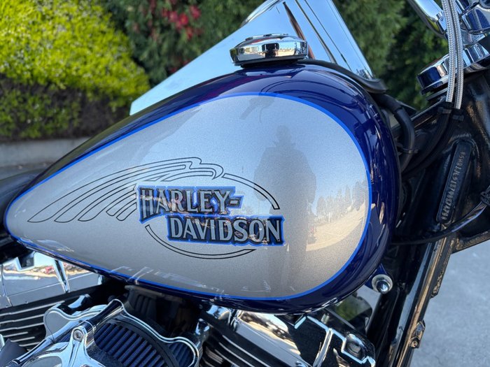 HARLEY-DAVIDSON 2008 HARLEY DAVIDSON 1584CC SOFTAIL CUSTOM Hunter Green